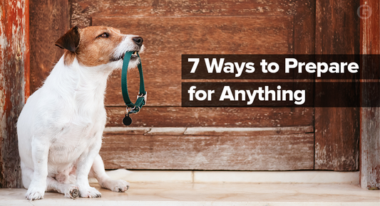 7 Ways to Prepare for Anything | Guardline Security