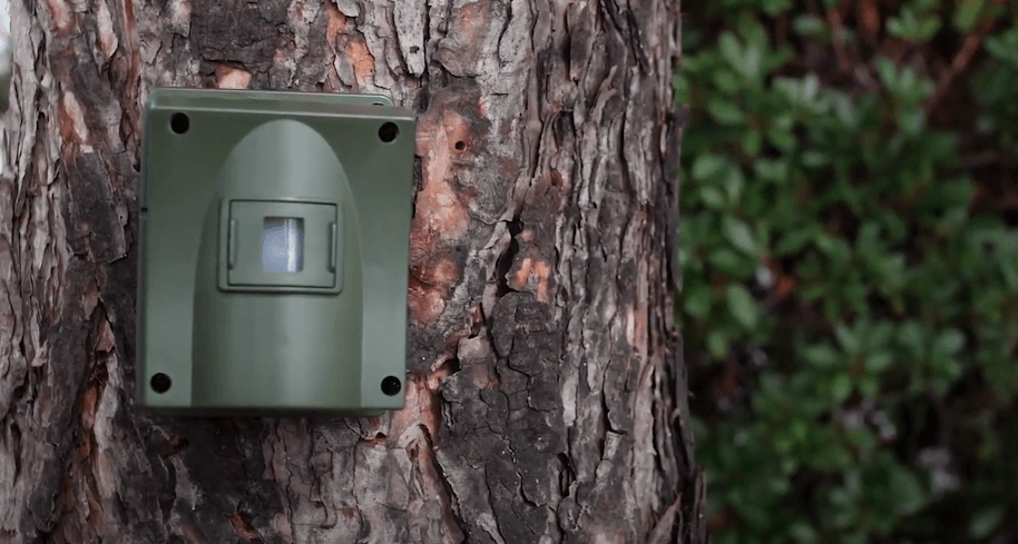 Guardline Drive Way Alarm Sensor Mounted to Tree